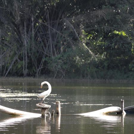 Pousada Paraiso Verde Conde  Kültér fotó