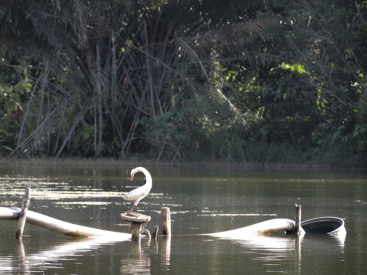 Pousada Paraiso Verde Conde  Kültér fotó