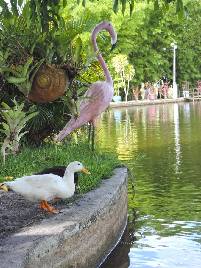 Pousada Paraiso Verde Conde  Kültér fotó