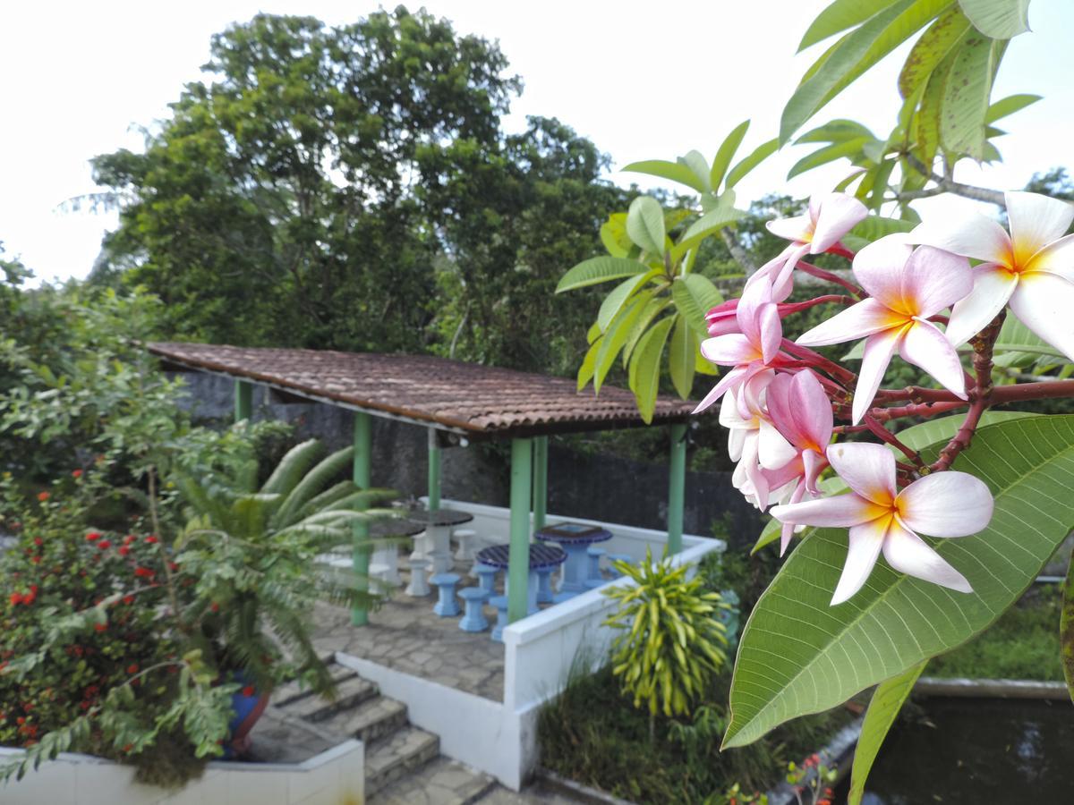 Pousada Paraiso Verde Conde  Kültér fotó